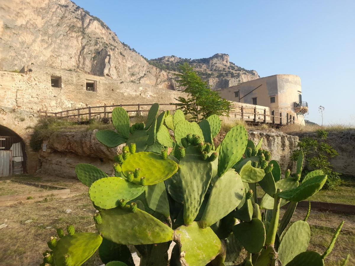 Casetta Siciliana Palermo Dış mekan fotoğraf